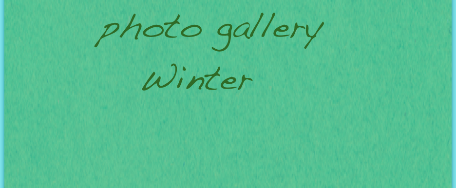   photo gallery
Winter


